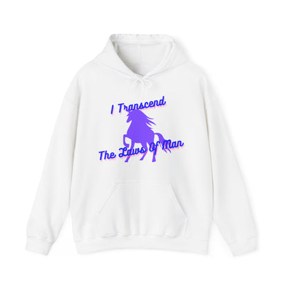 Transcendence Unicorn | Unisex Hoodie | Bi