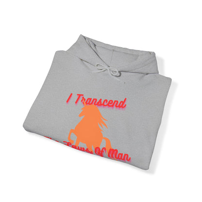 Transcendence Unicorn | Unisex Hoodie | Lesbian